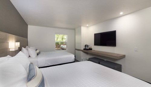 Signature King Suite