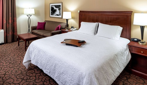 1 cama de matrimonio grande y 1 sofá cama