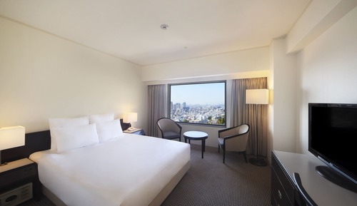 Habitación estándar, 1 cama de matrimonio, vistas a la ciudad