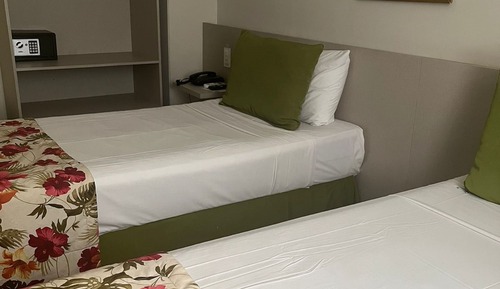 Habitación ejecutiva con 2 camas individuales