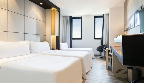 Habitación doble (Extra Bed (2+1))