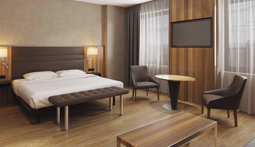 Habitación ejecutiva, 1 cama de matrimonio grande con sofá cama