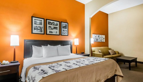 Suite, 1 cama de matrimonio grande, accesible para personas con discapacidad, no fumadores