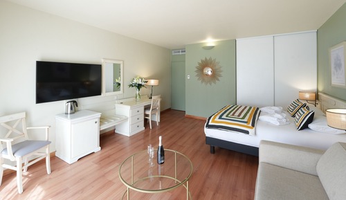 Habitación de lujo, vistas al jardín