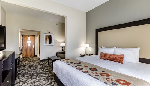 Suite, 1 cama de matrimonio grande con sofá cama