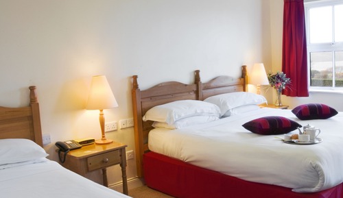 Habitación estándar con 2 camas individuales