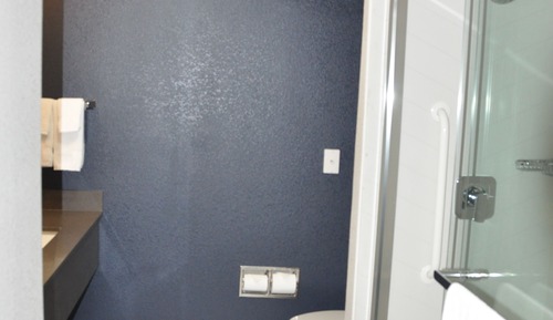 Habitación, 1 cama de matrimonio grande, no fumadores (Mobility Accessible, Roll-in Shower)