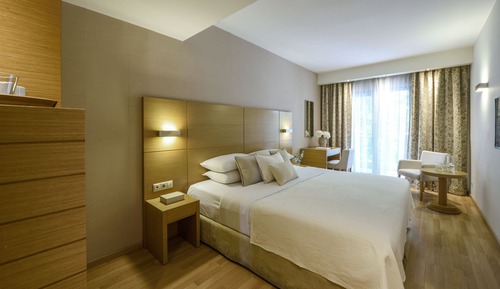 Habitación Deluxe con 1 cama doble o 2 individuales