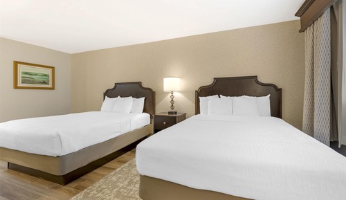 Habitación estándar, 2 camas de matrimonio, no fumadores, microondas (Pet Friendly)