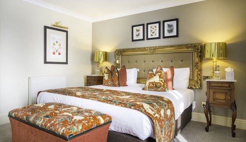 Suite junior, 1 cama doble