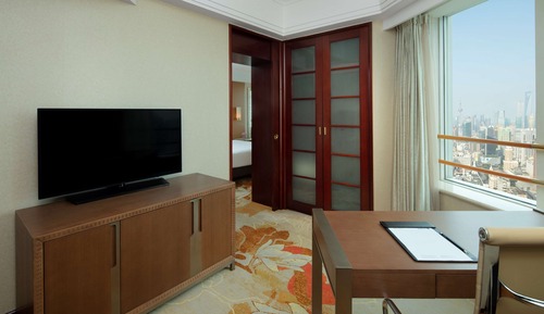Suite ejecutiva, vistas al parque (Business Class)