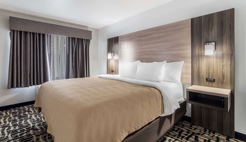 Suite 1 King 1 Queen Non Smoking 1 person Sofabed