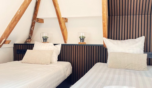Habitación estándar con 2 camas individuales, varias camas