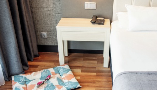 Habitación doble, mascotas