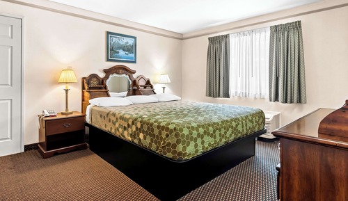 Habitación estándar, 1 cama de matrimonio grande, no fumadores, frigorífico y microondas