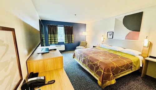 Habitación estándar, 1 cama de matrimonio grande