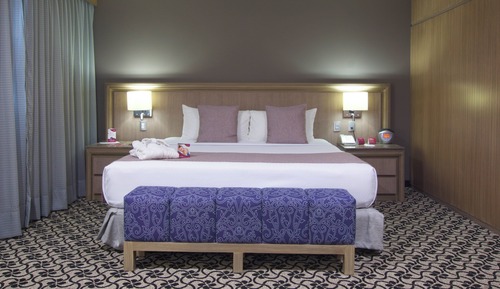 Suite junior, 1 cama de matrimonio grande
