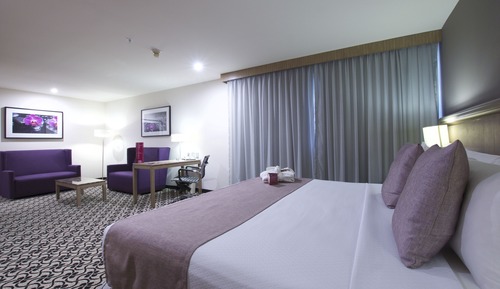 Habitación Premium