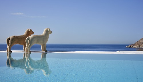 Suite ejecutiva, piscina privada
