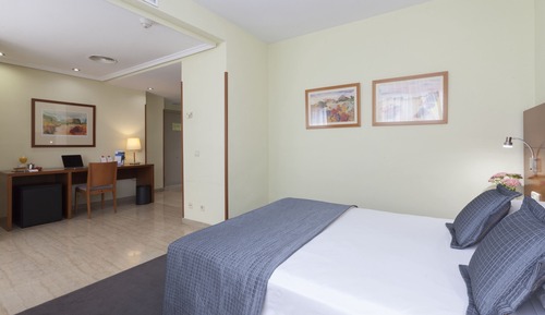 Habitación estándar con 1 cama doble o 2 individuales