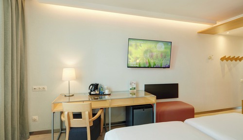 Habitación clásica doble (with Extra Bed)