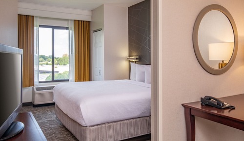 Suite estudio, 1 cama de matrimonio grande con sofá cama