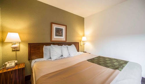 Habitación, 1 cama de matrimonio grande, accesible para personas con discapacidad, no fumadores