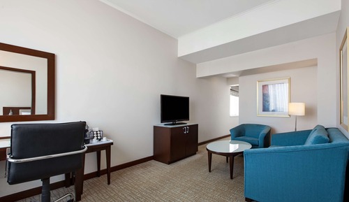 Suite, 1 habitación, vistas a la ciudad