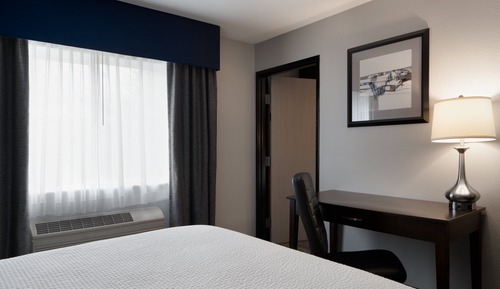 Suite, 1 habitación