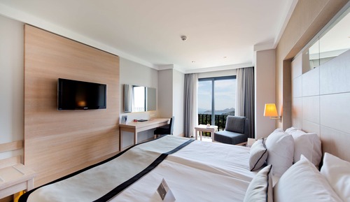 Habitación, 1 cama doble, no fumadores, vistas al mar