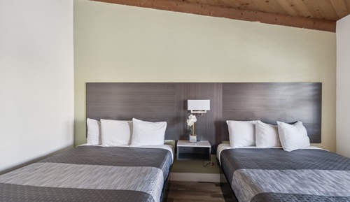 Habitación estándar, 2 camas de matrimonio