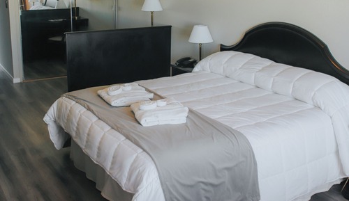 Habitación ejecutiva doble, 1 cama de matrimonio grande