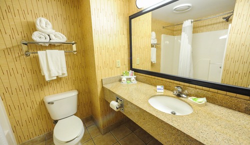 Suite, 1 habitación