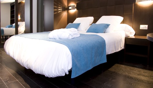 Habitación Deluxe, vistas al jardín
