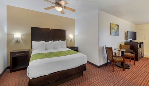 Suite, 1 cama de matrimonio grande, no fumadores