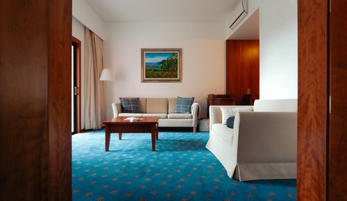Suite junior, 1 cama doble con sofá cama