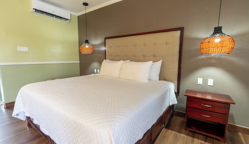 Habitación Deluxe (1 King Bed)