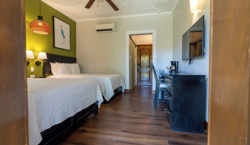 Habitación estándar, 2 camas dobles (2 Adults only)