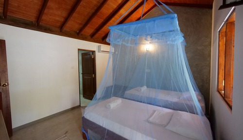 Habitación Confort con 1 cama doble o 2 individuales, 2 camas individuales, vistas a la piscina