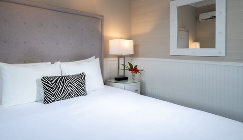 Habitación estándar, 1 cama de matrimonio, frigorífico (Room 3)