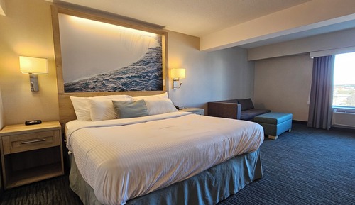 Suite estándar, 1 cama de matrimonio grande con sofá cama (Junior Suite 1 King Bed)