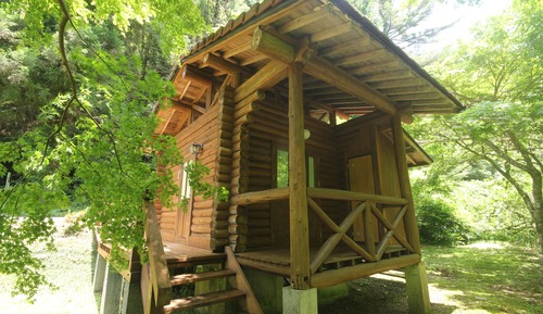 Cabaña estándar ((2Adults))
