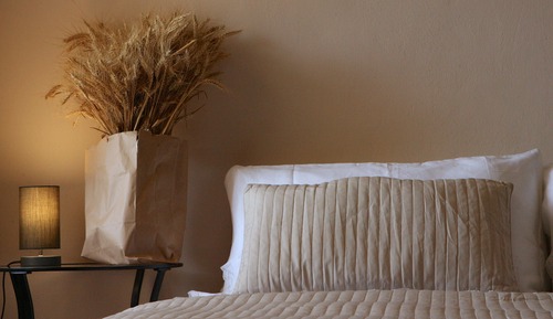 Habitación clásica con 1 cama doble o 2 individuales, vistas al jardín
