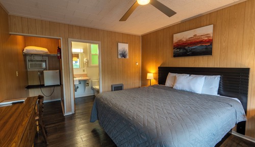 Habitación estándar, 1 cama de matrimonio grande