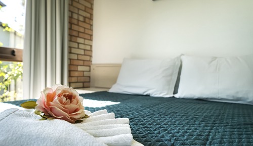 Premium Suite