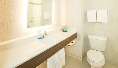 Suite, 1 cama de matrimonio grande, bañera accesible (Accessible Tub)