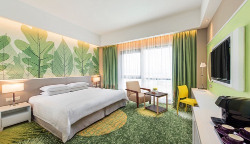 Habitación doble superior (Premier King)