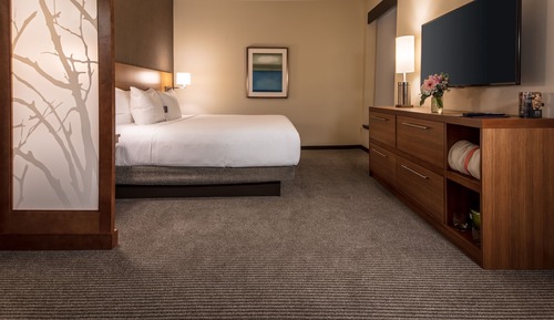Habitación, 1 cama de matrimonio grande con sofá cama, accesible para personas con discapacidad