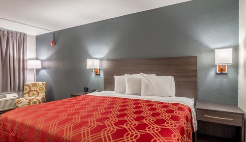 Habitación estándar, 1 cama de matrimonio grande, no fumadores