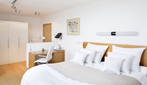 Premium Double Room, 1 King Bed